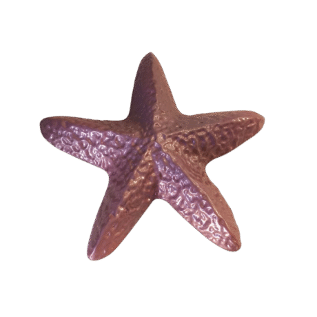 Estrela